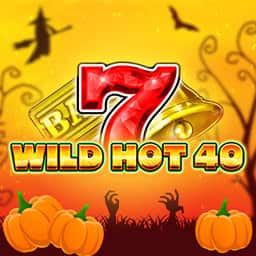 Wild Hot 40
