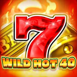 Icona Wild Hot 40 Mobile