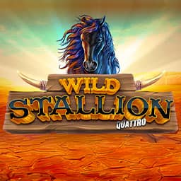 Wild Stallion