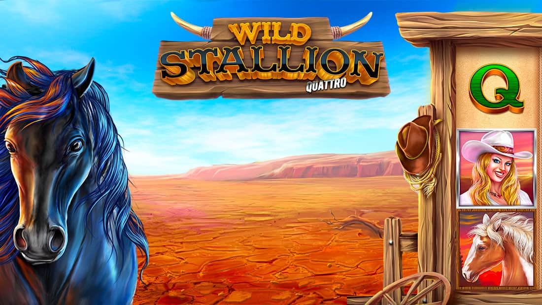 Wild Stallion