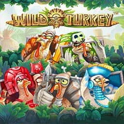Wild Turkey
