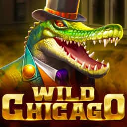 Wild Chicago