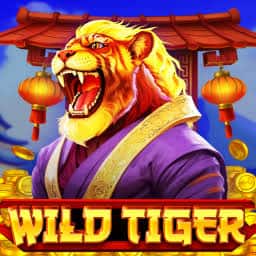 Wild Tiger BGaming