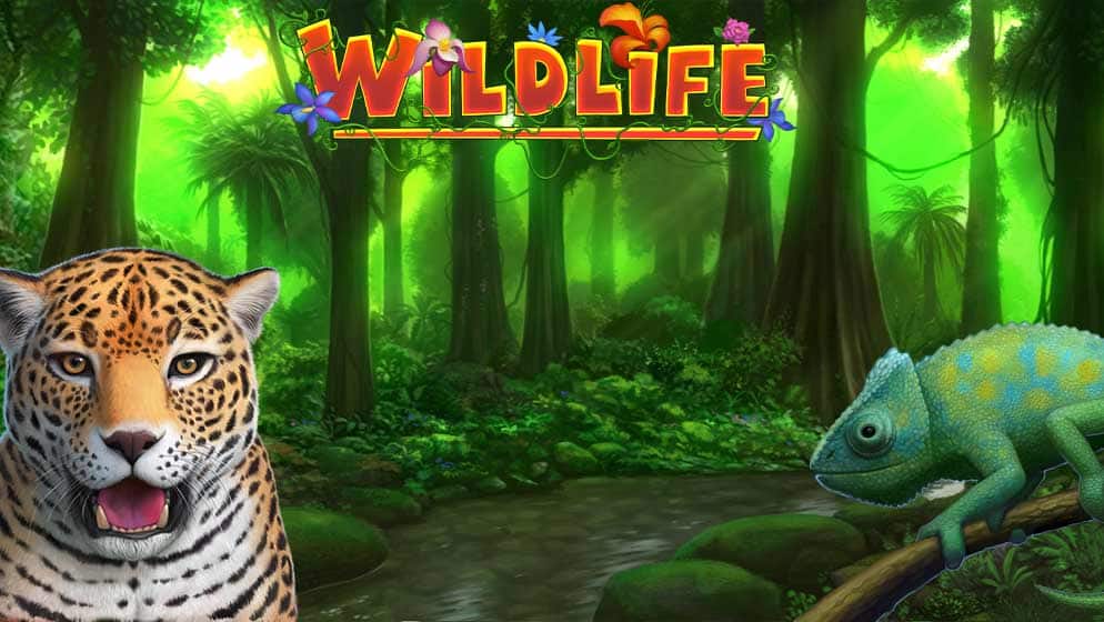 Wildlife