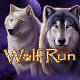 Wolf Run